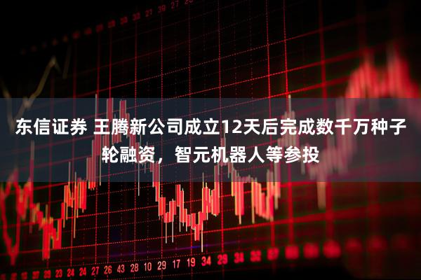 东信证券 王腾新公司成立12天后完成数千万种子轮融资，智元机器人等参投