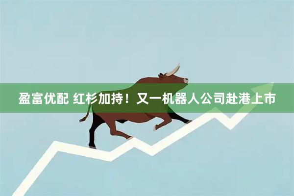 盈富优配 红杉加持！又一机器人公司赴港上市